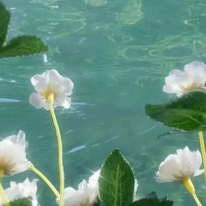 VOL276.电影业仍是男人的产业，反映的是他们的幻想。