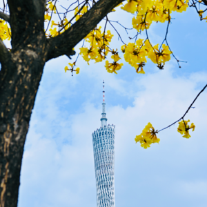 021. 落实双休与反内卷：能做吗，好做吗，怎么做？
