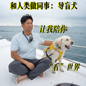 EP.31 |【和人类做同事】系列:导盲犬,让我陪你"看"世界!