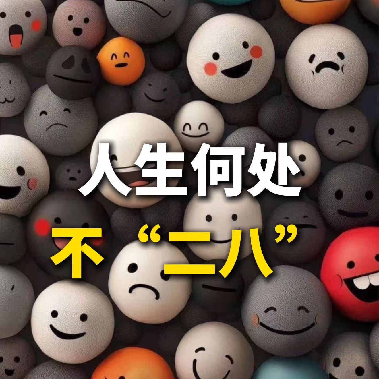 人生何处不“二八” episode artwork