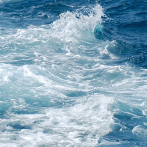 上升处女天秤天蝎的天赋在哪里？？？