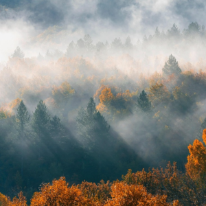 EP202 隔夜与日间领先滞后网络