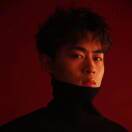战斗暴龙罗宾侠