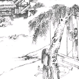 第407期：聊聊聊斋03：《尸变》——当你入住的酒店外间有一具女尸