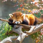 跨越唐古拉山脉