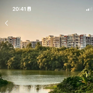 没有买房的95后，跑赢了大部分同龄人