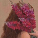 花与兽