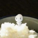轩仔咯