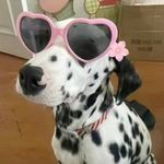 颓废的烤肉_U9FF