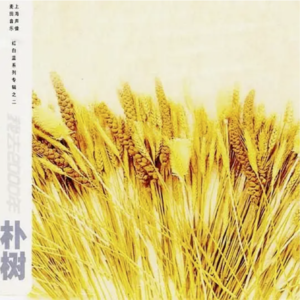 儿童节特辑:成长与怀旧