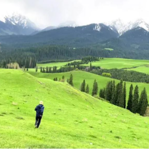 E13 银行、程序员、记者?裸辞后我们都有美好的未来