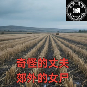 开涮说案 奇怪的丈夫;郊外的女尸