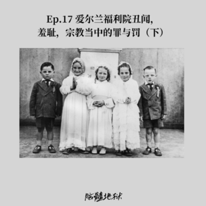 Ep.17 爱尔兰福利院丑闻，羞耻，宗教当中的罪与罚（下）