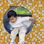 晚风兔子