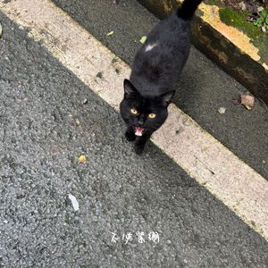 079 过“拥有什么就珍惜什么”的日子