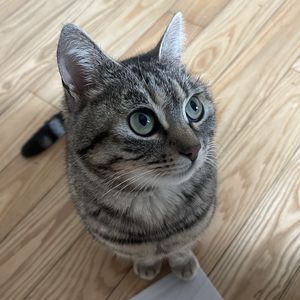 podcaster-avatar