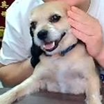 知识进脑子678