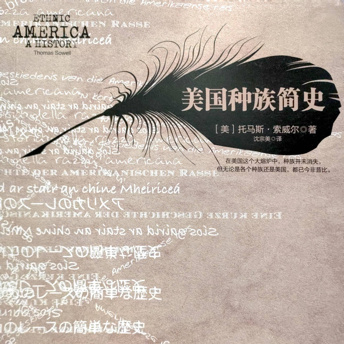 《美国种族简史》/《Ethnic America: A History》 episode artwork