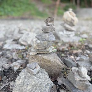 LensMiao