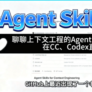 聊聊关于上下文工程的Agent Skills开源项目