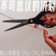 不可思议的决裂 - CallCallBanana