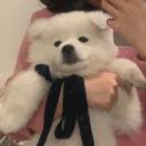 关山迢递