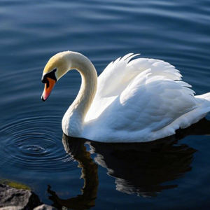 Twin's Talk|爱自己也得有个限度