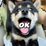 OKKD