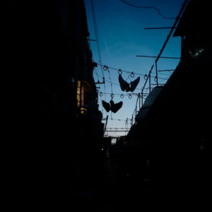 【鸮德乐】#37 寻觅"消失"的上海,从老城厢的陡梯到弄堂里的老虎灶