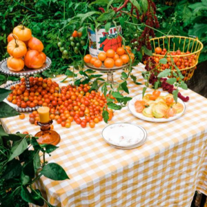 财富玄学，所谓的“财运”到底是什么？