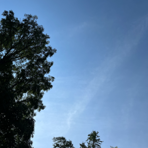 48:在一次次迷茫和坍塌中重构,生长出从未想象过的自己