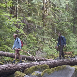 《昨日欢愉》Old Joy，悲伤不过是疲惫的快乐
