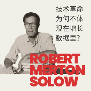 索洛：一万亿美金的沉默——"到处都是AI，唯独在增长数据中看不到？” | Honghub & 墙裂坛 「特别系列」