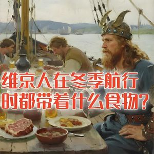 在冰天雪地里航行的维京人，船上都带着什么食物过冬？#助眠 #助眠故事 #睡前故事