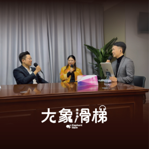 vol.17 法律唐胡录｜律师不会告诉你的真相