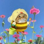 手打柠檬茶不酸