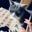 郭祖欣
