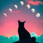 Anna_sK6x