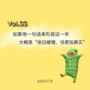 Vol.33 如果用一句话来形容这一年，大概是“依旧缓慢、但更加真实”