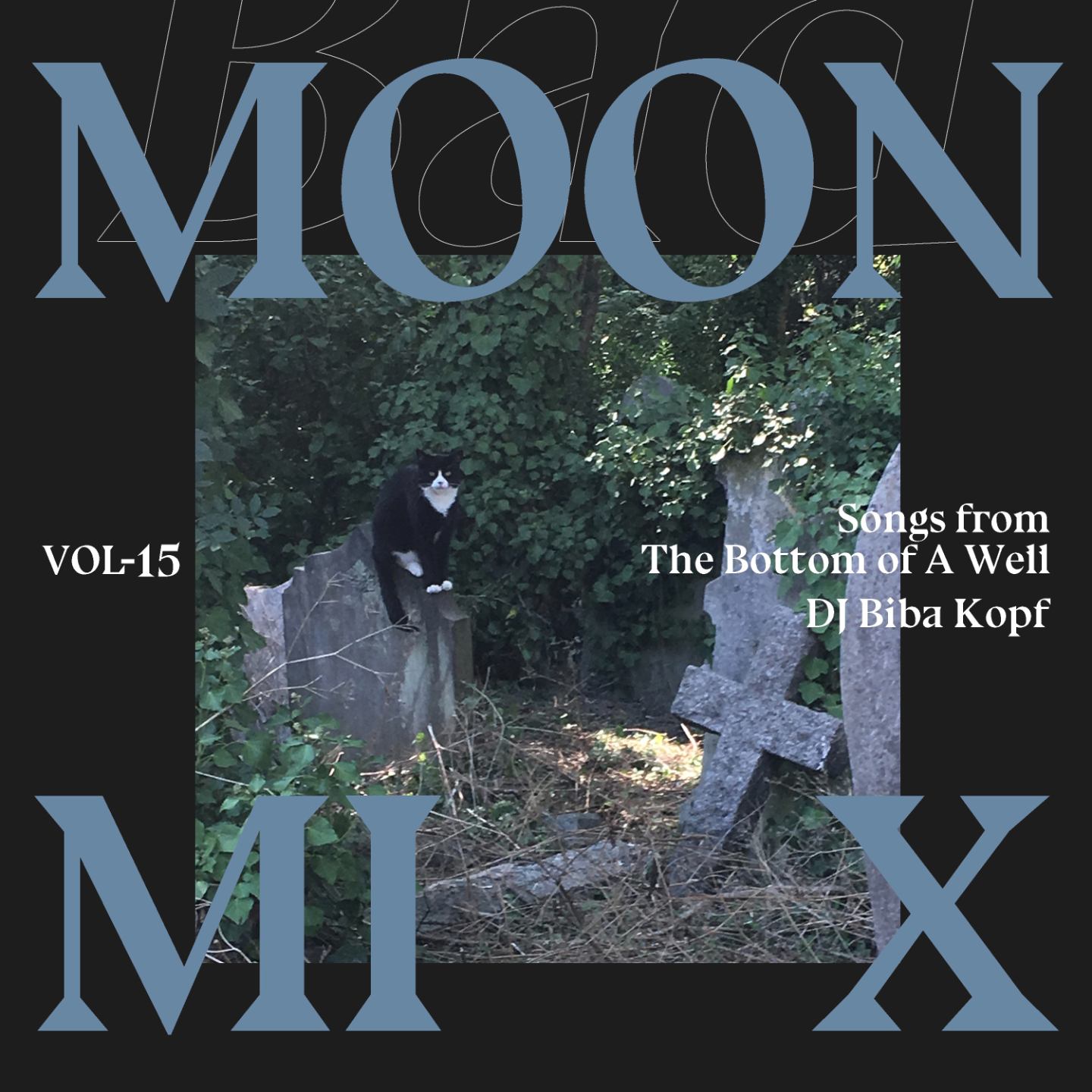 Badmoon 坏月亮