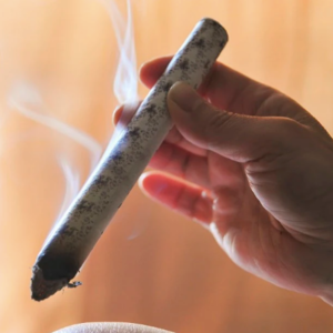 2024年9-12月｜Part 2 传统产品