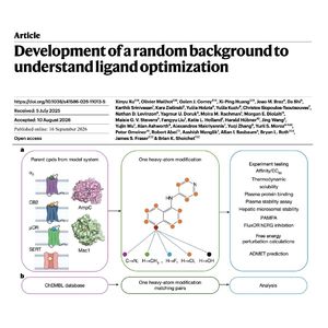 1674-Ligand Optimization in Drug Discovery