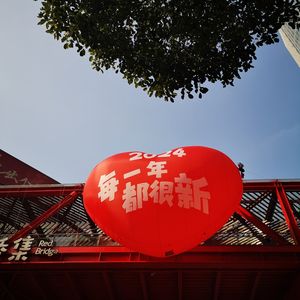 宝贝赳赳的故事