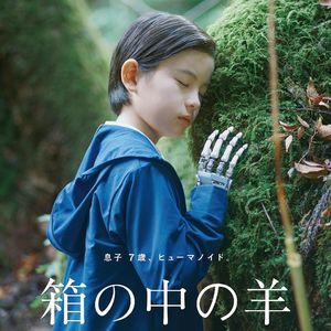 《盒子里的羊》:是枝裕和拍AI真的失手了吗?
