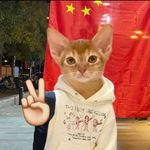 天大地大睡觉最最大