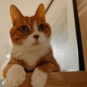 podcaster-avatar