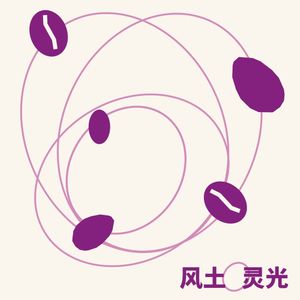 风味吃喝：你希望大小电波的巧克力是什么味道？