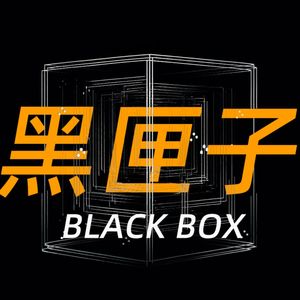 黑匣子Black box