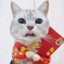 小才_uu6r