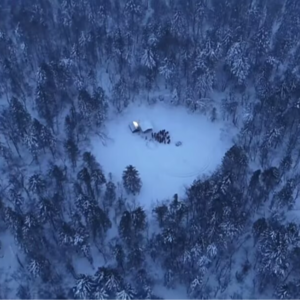 我没有结冰 反倒是融化了 变成能够开怀大笑的活生生的人